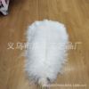 Factory spot 55-60 cm fine rod white ostrich furnishing flower arrangement scene arrangement floor lamp feathers