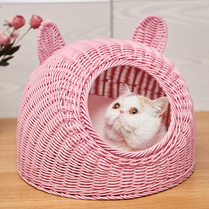 Розовый кот