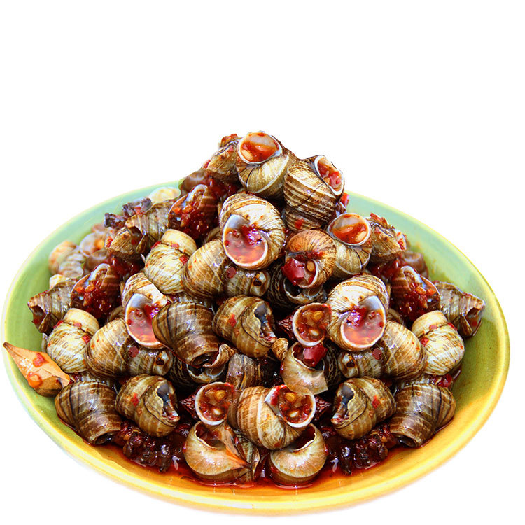 炒田螺湖南特色香辣田螺无肠麻辣嗦螺螺丝即食泥螺冷湖北小吃批发|ms