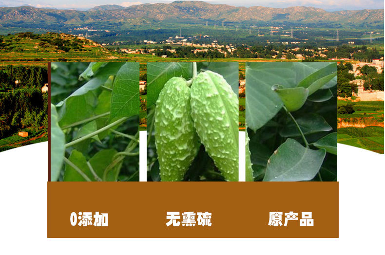 Tian Jiang Ke (Metaplexis japonica) — Dried Fruit Shell, Traditional Herbal Decoction Piece quality and texture