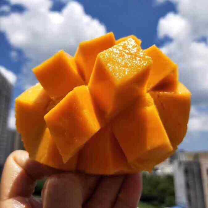 【云南仓】正宗云南苹果芒澳芒新鲜芒果热带新鲜水果一件代发