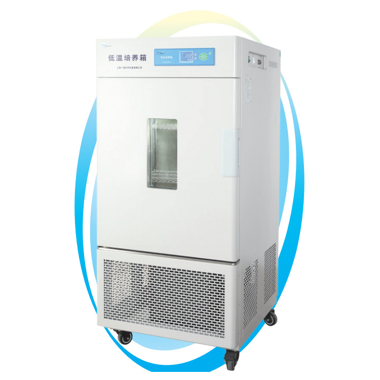 一恒低温培养箱（培养箱系列）低温培养箱 LRH-250CB