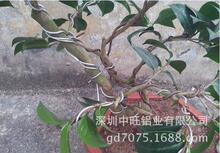 �辰���͹��߲��� �辰�X�� �@ˇ�X�z diy ���z��֧�� 500g