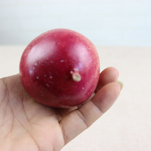 Simulated Passion Fruit Model Eggplant Fruit School Textbook Student Portrait Fake Passion Fruit Manufacturer