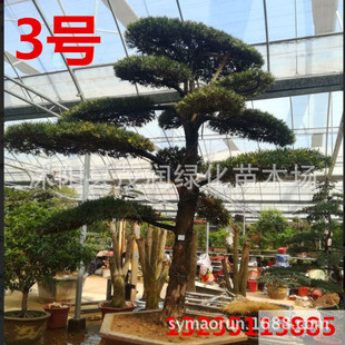 ���l�_�h���辰ͥԺ�e���G���c�Y�_�h�ɵؾ��L�������͘䌍�����x