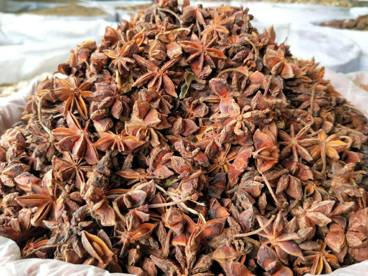 广西大红八角 自收全干无熏染 大料三奈桂皮餐饮食材卤料香料调料|ms