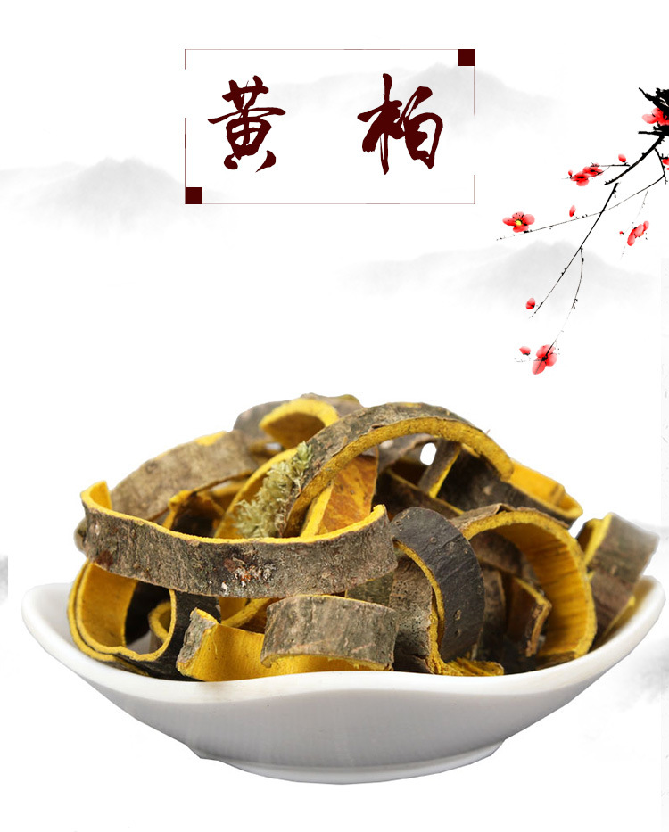 Sichuan Huang Bai Slices (Phellodendron chinense) — Dried Bitter Bark Decoction Pieces key features