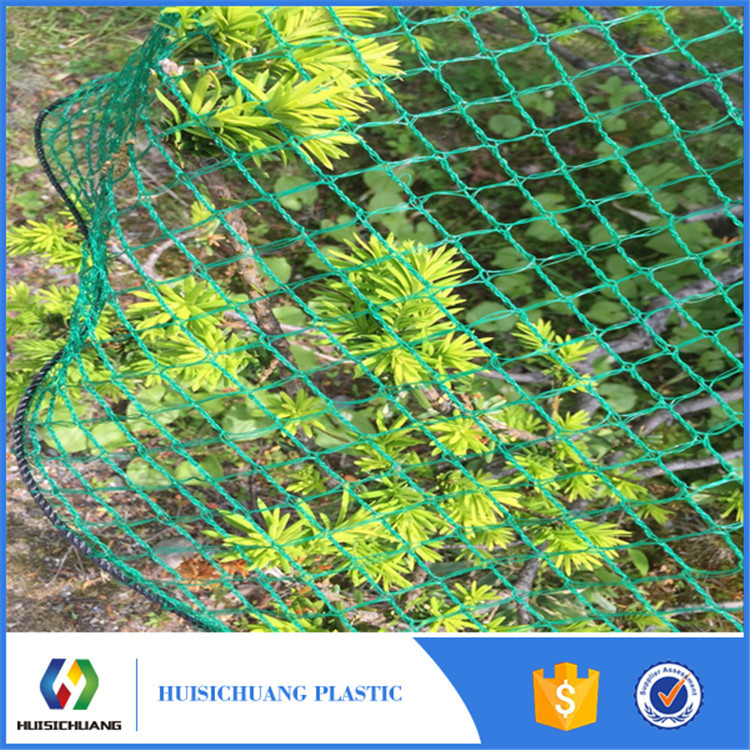 常州BSCI厂家直销高品质防鸟网鱼塘专用高密度聚乙烯防鸟网