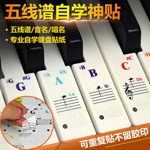 88/61/54/49/3732 Key Piano Transparent Stickers Electronic Piano Keyboard Handroll Simplified Music Scale Stickers Wholesale