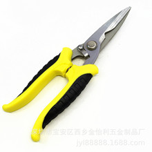 �S��ֱ�N �F؛���l 8�� 20.5�����L���^늹��� 늾�����֦����