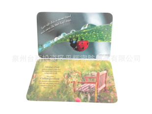 23.5*14.5cm �������L���Ύ��_�|���ڵ����^LFGB�z�y�ܰ��˰�
