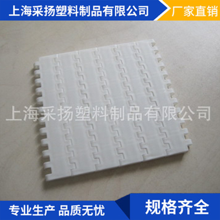 厂家  防潮塑料网带 耐低温塑料网带