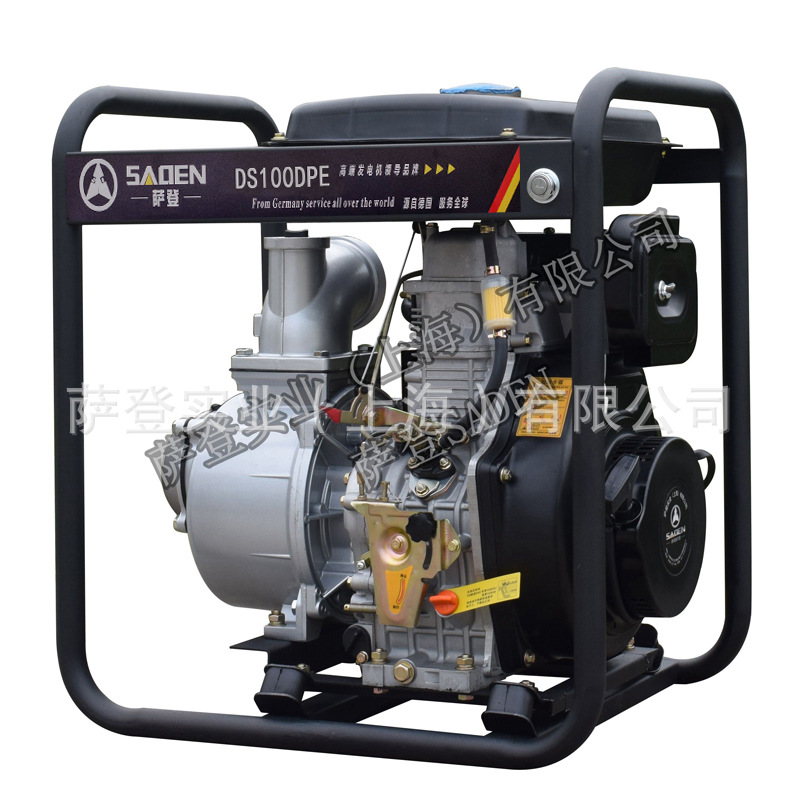 DS100DPE (12).jpg