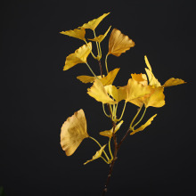 GVC-2329�z֦С3���y���~  ���滨�Gֲ �͏dܛ�b�ҾӔ[�O