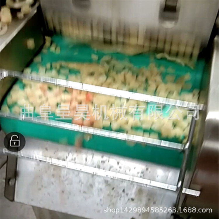 多功能切菜机商用电动切片切丁机660型1000型不同规格仿手工切片