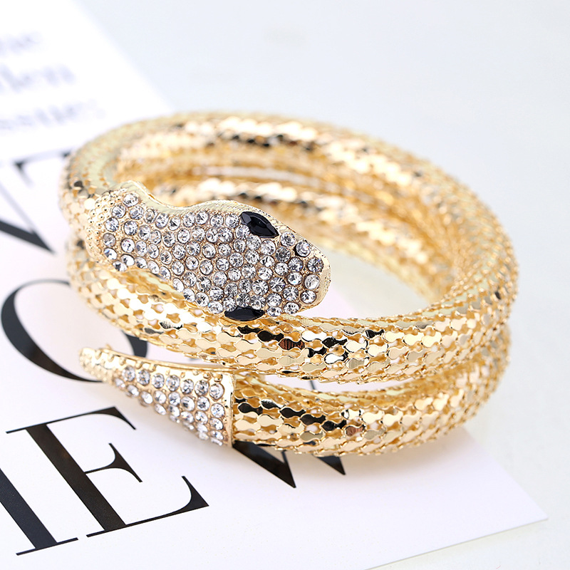1 Piece Fashion Snake Alloy Inlay Artificial Diamond Womenu0027S Bangle