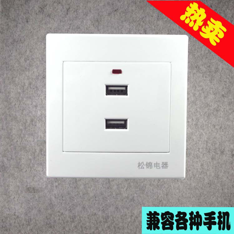 USB插座 双USB插座带指示灯 USB手机充电插座面板220V 2100MA