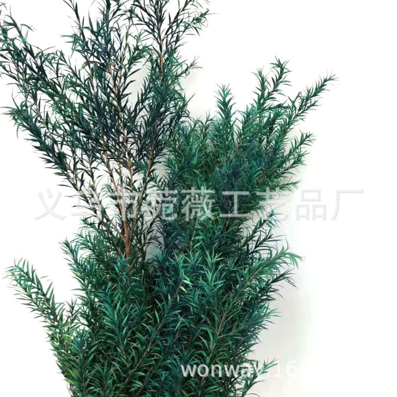 微信图片_20181102152235