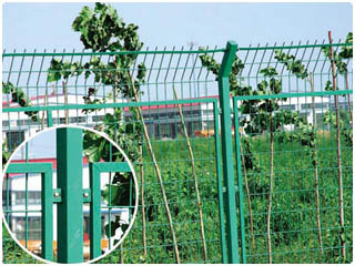 生产供应框架护栏网，公路防护网，规格齐全质优价廉