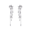 Long fashionable accessory with tassels, earrings, wish, European style