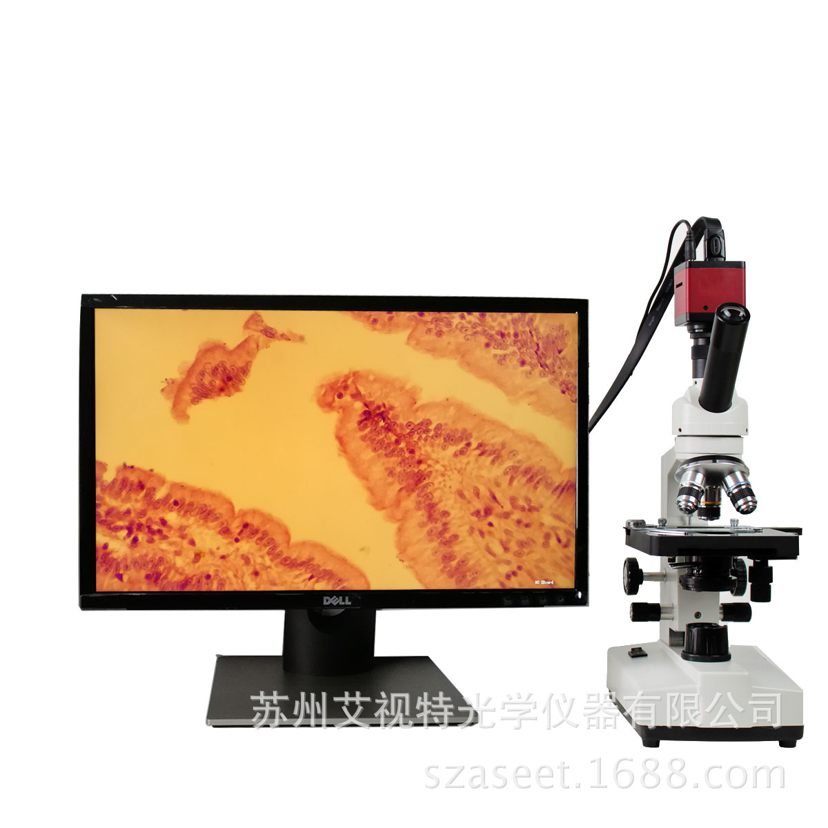 厂家直供 生物显微镜1600X 接电脑 单目 学生用