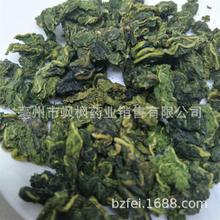 飒枫产地货源桑叶 散装批发桑叶茶 桑叶颗粒茶批发色泽好量大从优