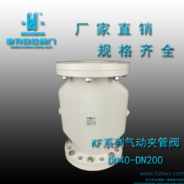 供应进口夹管阀(图)