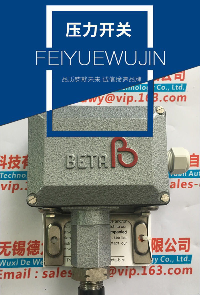 新品荷兰BETA压力开关W3-P308L-S2N-S2-M1-J-X1原装