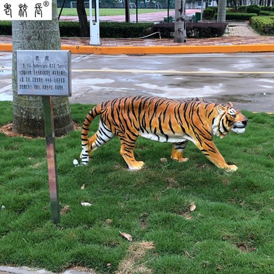 teaching equipment Biology simulation animal tiger Red-crowned crane Deer Goat dinosaur Model factory Direct selling