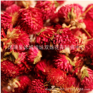 百日紅種子圖片 海量高清百日紅種子圖片大全 阿里巴巴