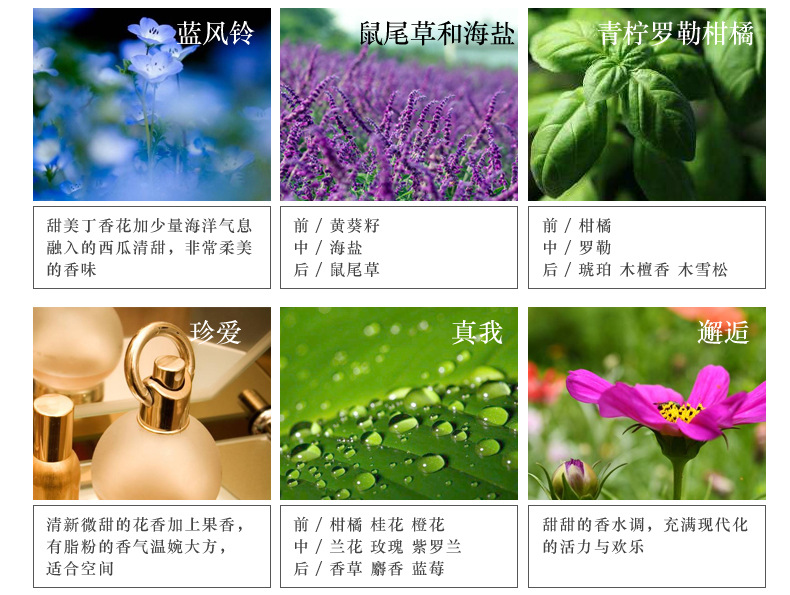 阿里详情模板1_17