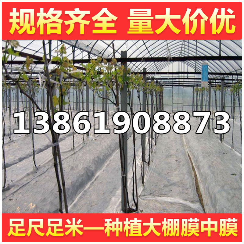 農用白色塑料布地膜種植膜中膜蔬菜花卉保溫育苗膜塑料薄膜批發