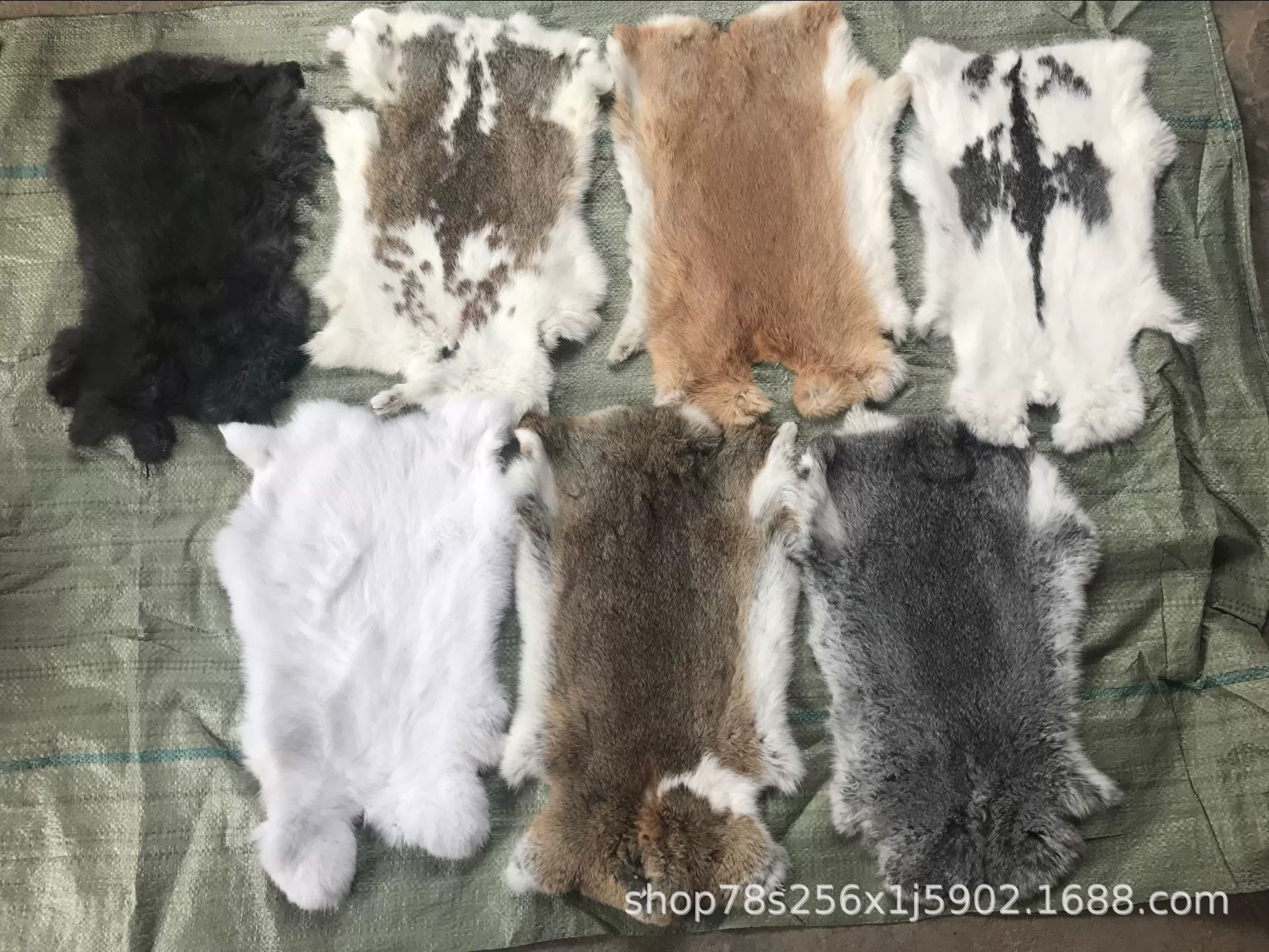  Supply rabbit skin natural color white grass -colored gray house rabbit leather grass grass rabbit skin