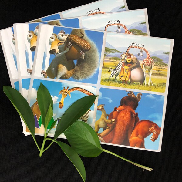 Waterproof transparent individual sticker PVC