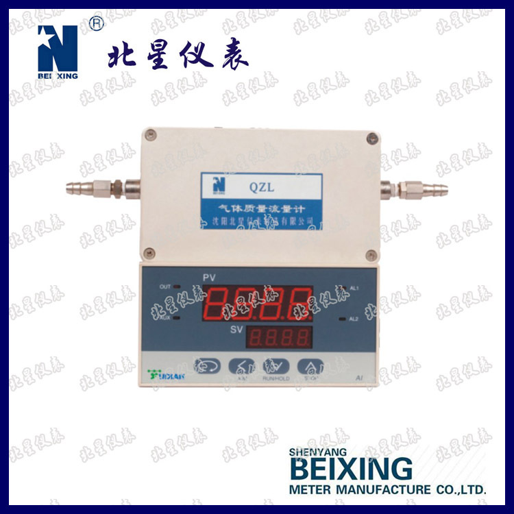 专业厂家QZL型气体质量流量计适用微量无腐蚀性干燥气体 包邮