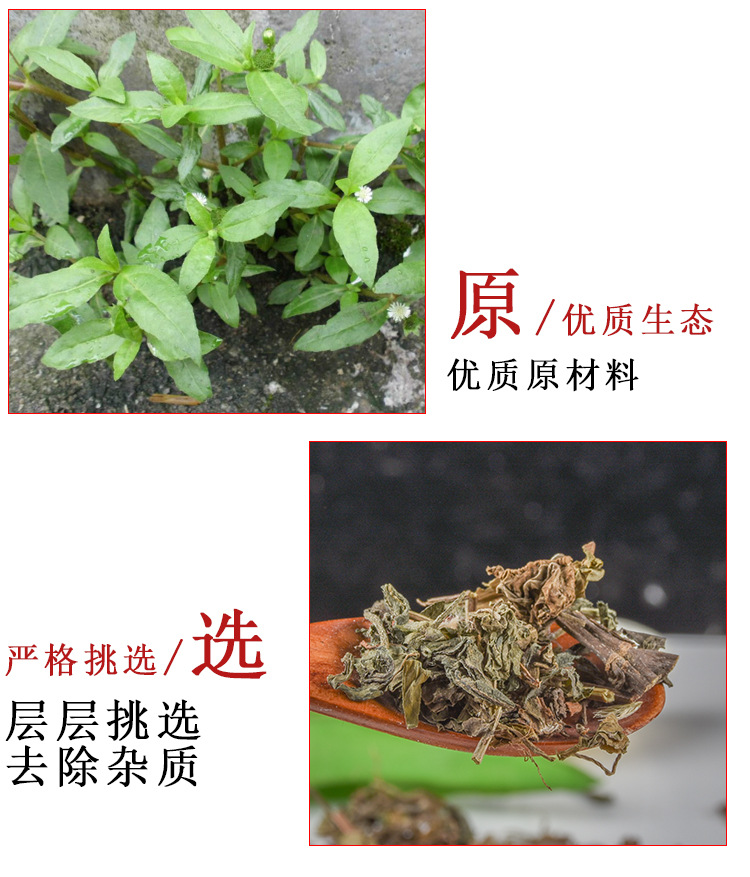 Mo Han Lian (Eclipta prostrata) Dried Herb — Han Lian Cao for Tea & Decoction key features