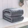 Cross-border special 200-280 Flannel Blanket blanket Coral Cashmere blankets Solid blanket thickening winter