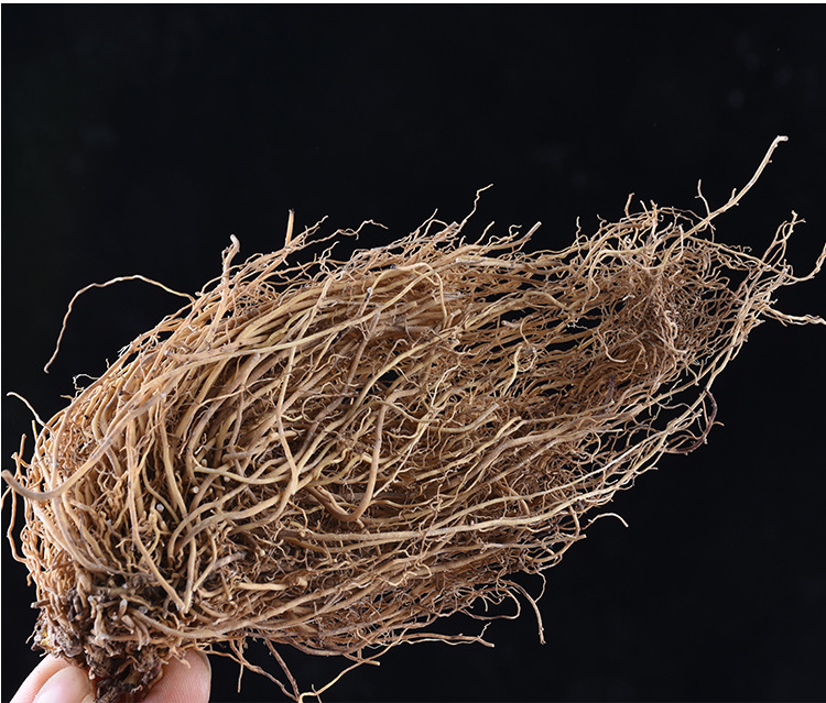 Liao Xi Xin Root (Asarum heterotropoides) — Northeast China Dried Food Herb, Water-Washed, Unsulfured quality and texture