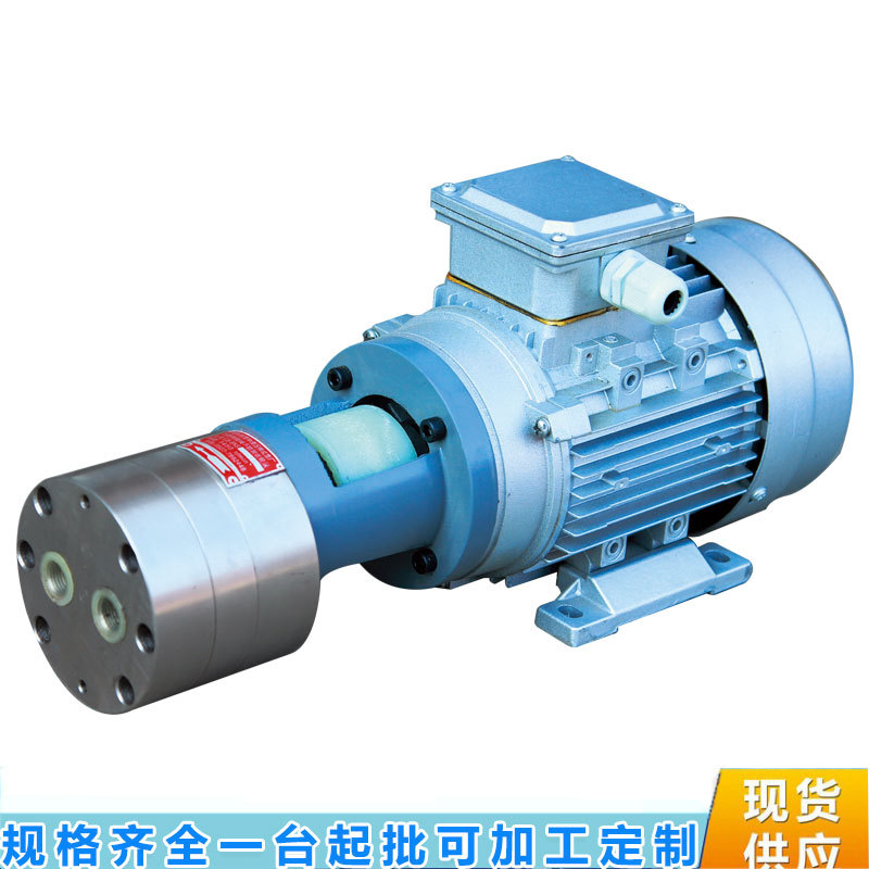 小流量微型不锈钢齿轮泵电机组CB-BNS1JZ304齿轮定制塑料齿轮泵