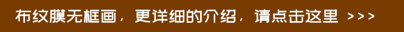 布纹膜介绍（阿里巴巴）.jpg