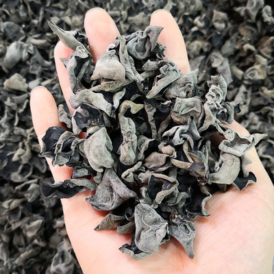 东北土特产散装黑木耳500g 椴木大碗耳基地批发走量木耳干货