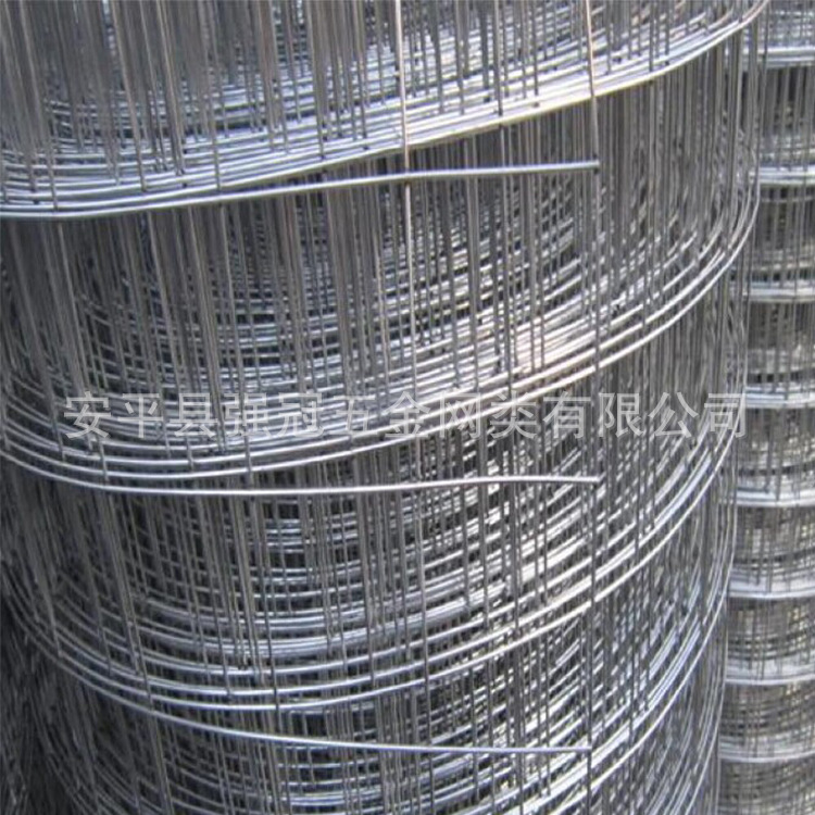 浸塑养殖使用的电焊网 镀锌铁丝围栏网养殖建筑抹墙网