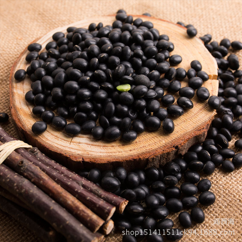 Black Soybeans, Green Kernel (Glycine max) — Northeast China Hei Dou, Food-Herb Legume key features