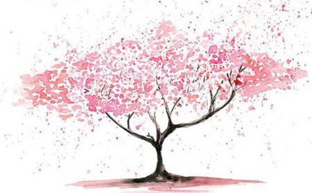 dc54564e9258d109f174c084d658cc