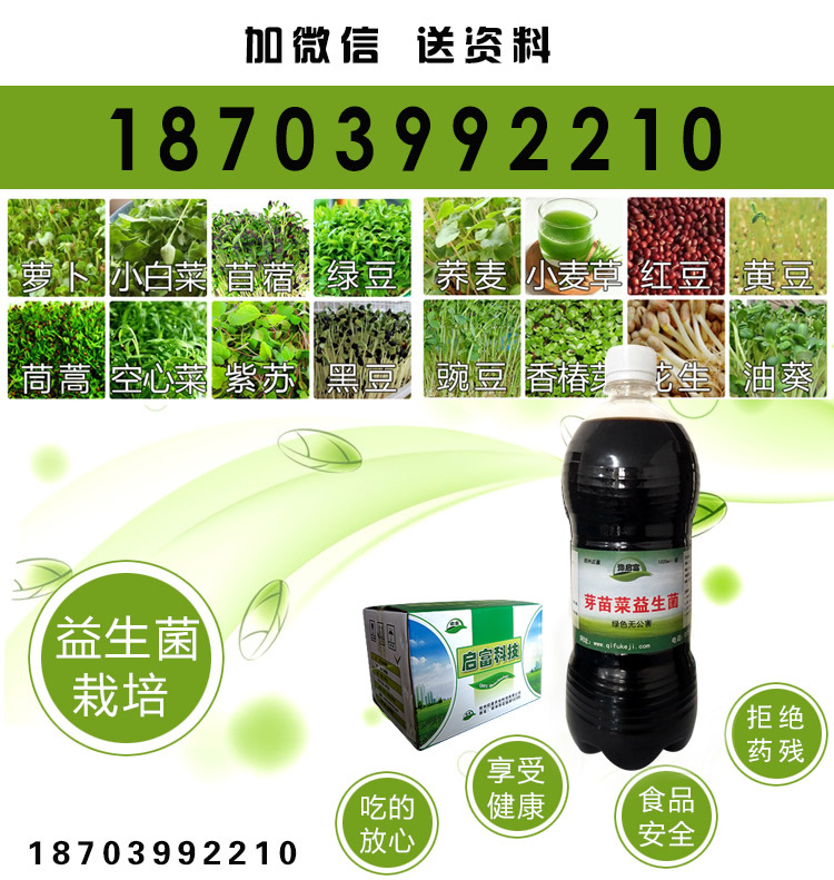 芽苗菜益生菌