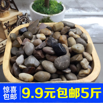 包郵5斤雨花石鋪面石子彩石子多肉鋪面石子鵝卵石五彩石頭石頭子
