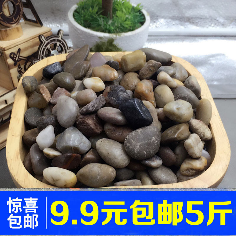 包郵5斤雨花石鋪面石子彩石子多肉鋪面石子鵝卵石五彩石頭石頭子