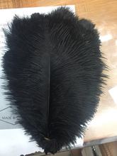 ��c����b� 15-20cm��ɫ�r�Bë��̨����ë���ò廨��ɫ�r�B��ë