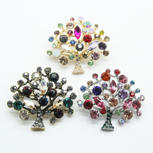 ��껚W���r�п羳�����Ʒ���l ���¿ɐ۲���������֦Ůʿ���