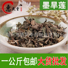 旱莲草墨旱莲墨草 旱莲草   农产品初加工